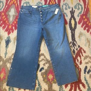 NWT Anthropologie Plus size Jeans 24W skinny boot